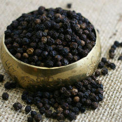 Manufacturers Exporters and Wholesale Suppliers of Black Pepper Bhilwara Rajasthan